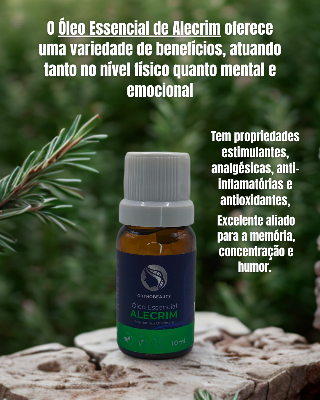 Óleo Essencial de Alecrim - 10ml