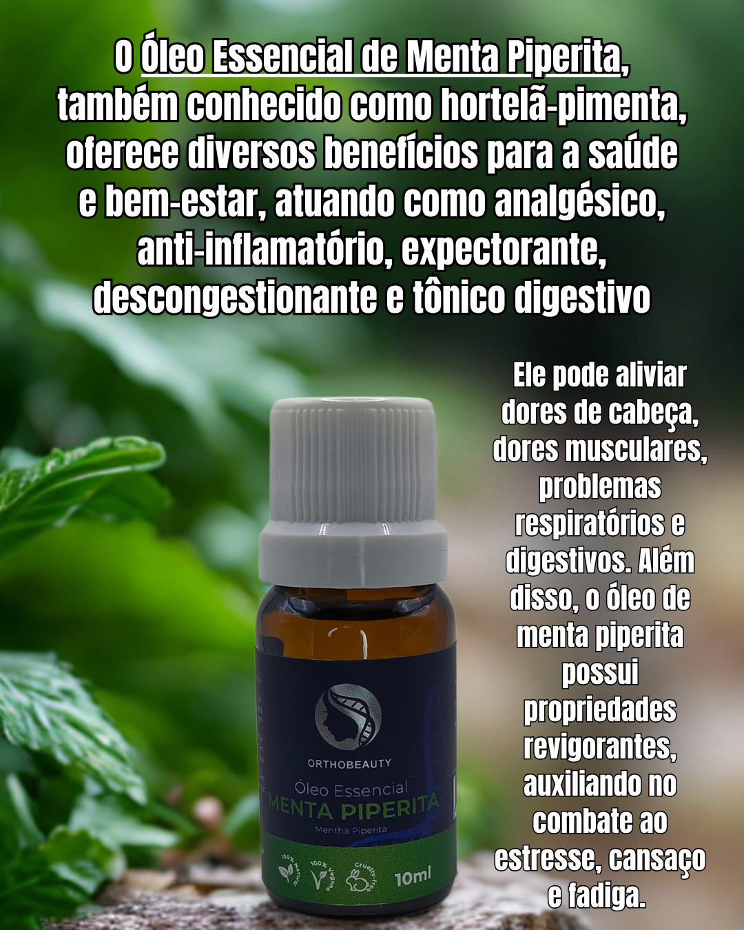 Óleo Essencial de Menta Piperita - 10ml