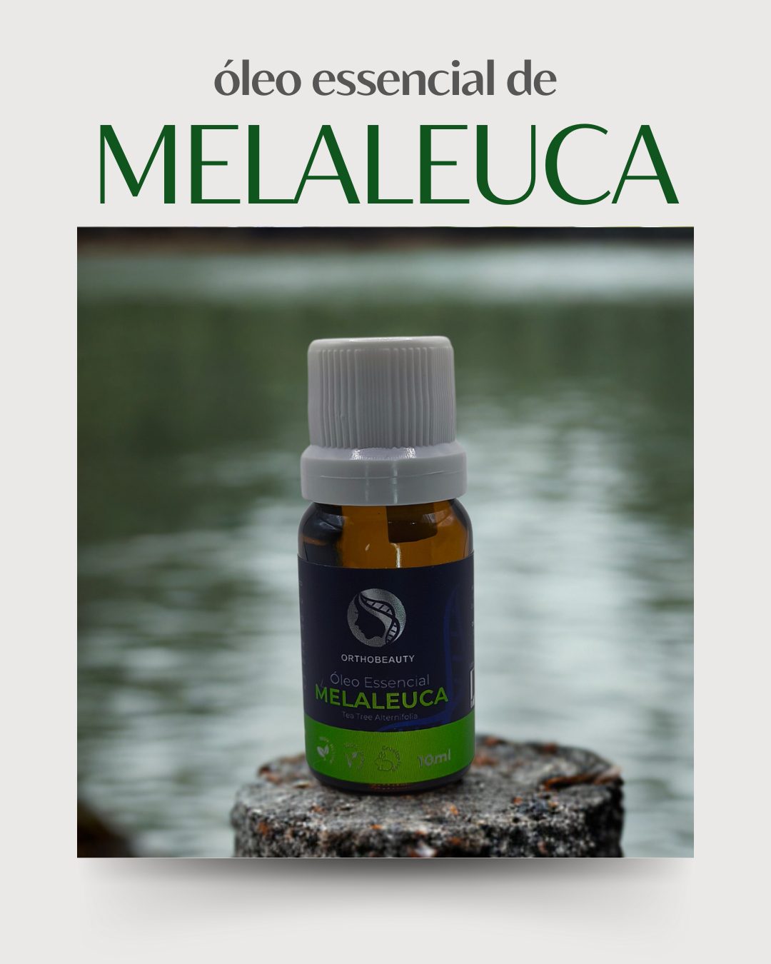 Óleo Essencial de Melaleuca - 10ml