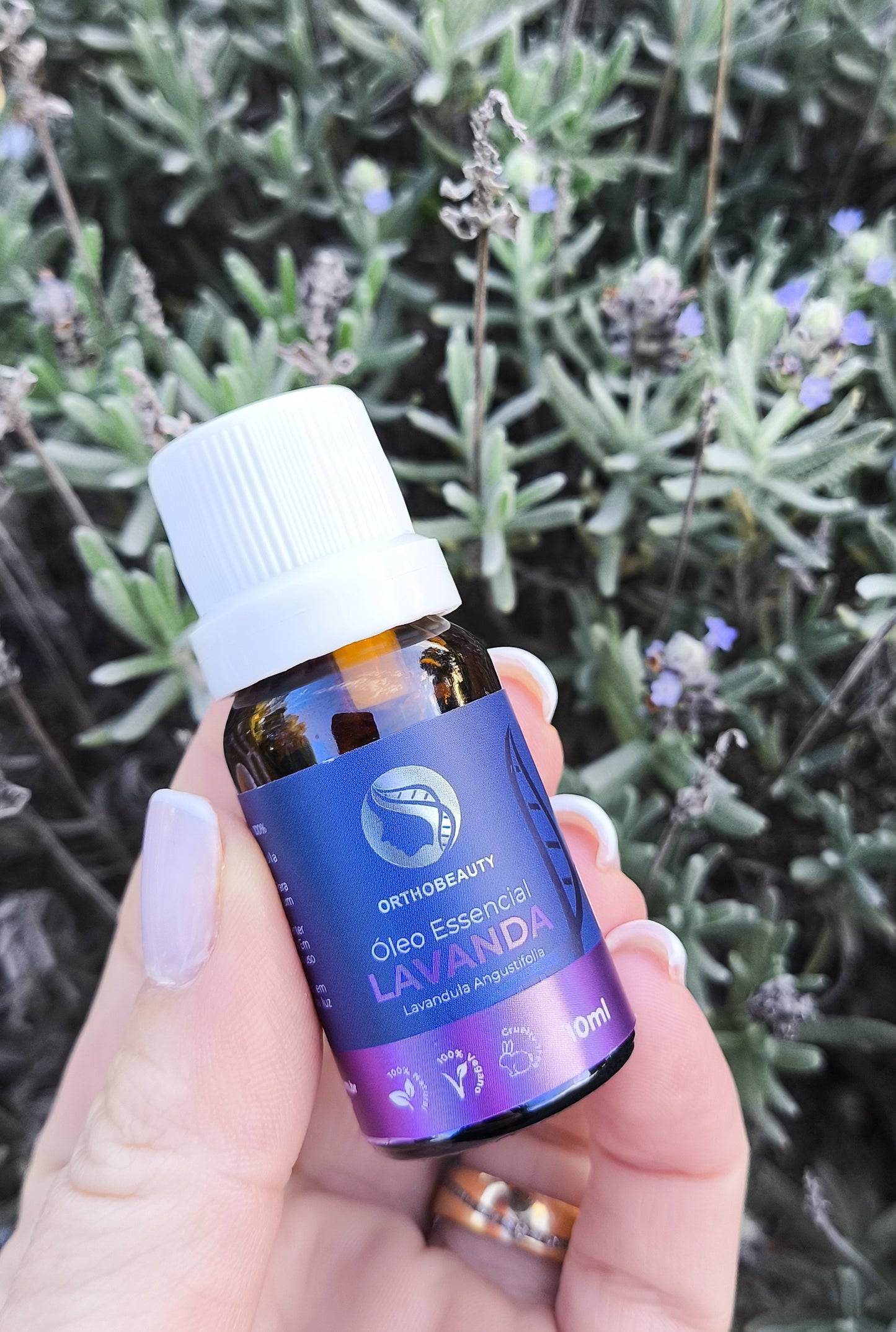 Óleo Essencial de Lavanda Francesa - 10ml