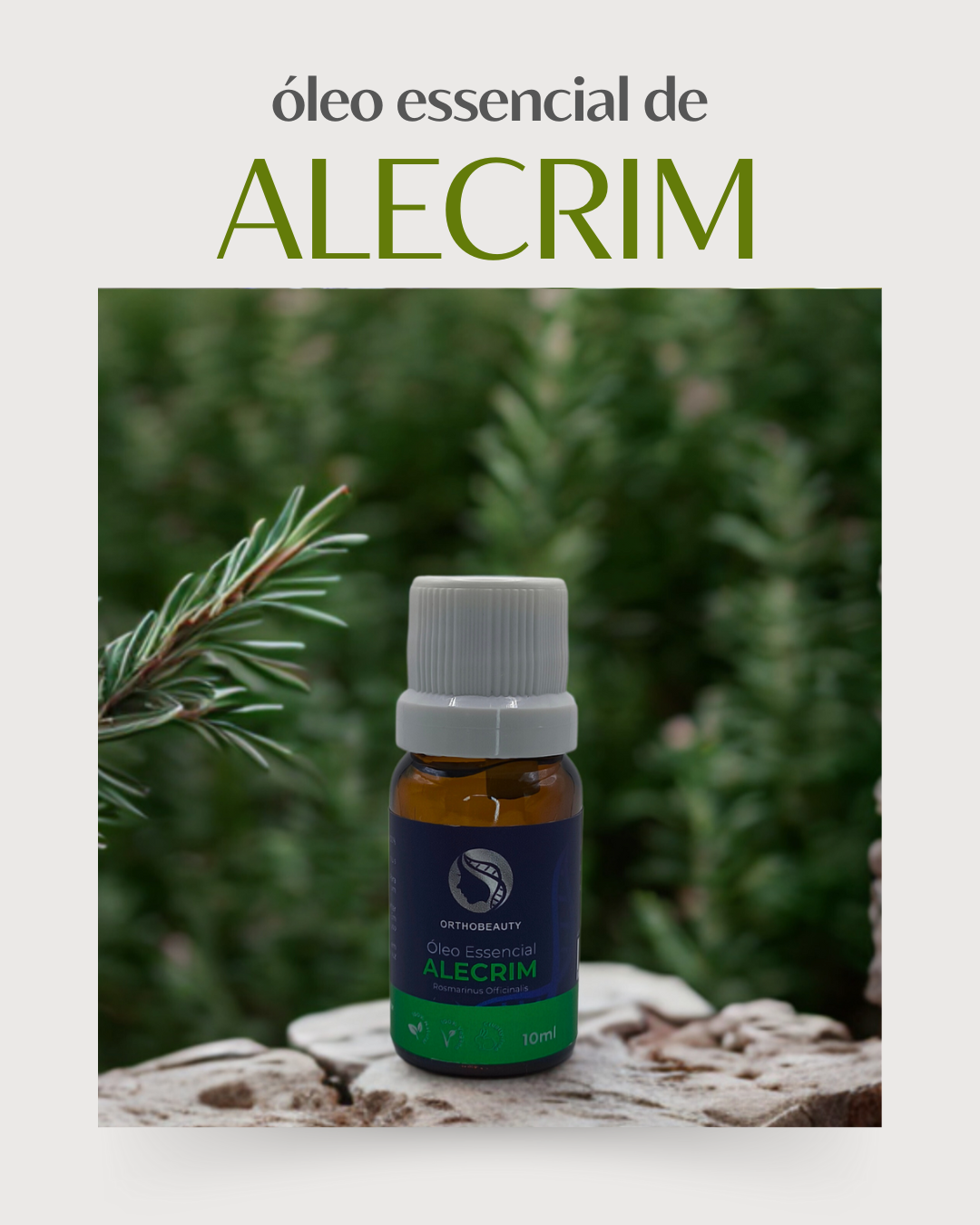 Óleo Essencial de Alecrim - 10ml