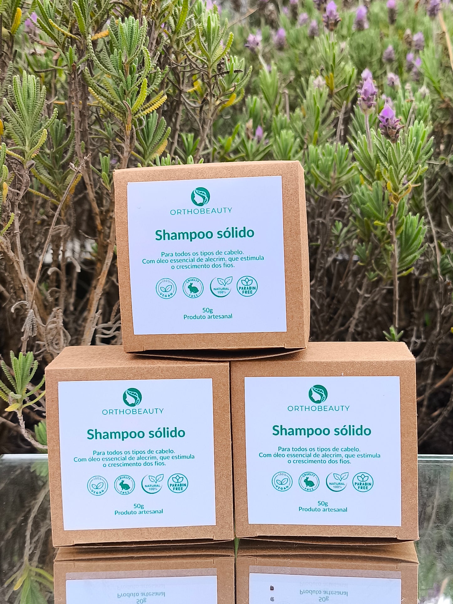 Shampoo sólido - Alecrim - 50g